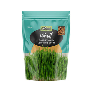 Organically Grown Sprouting Seeds - Wheat